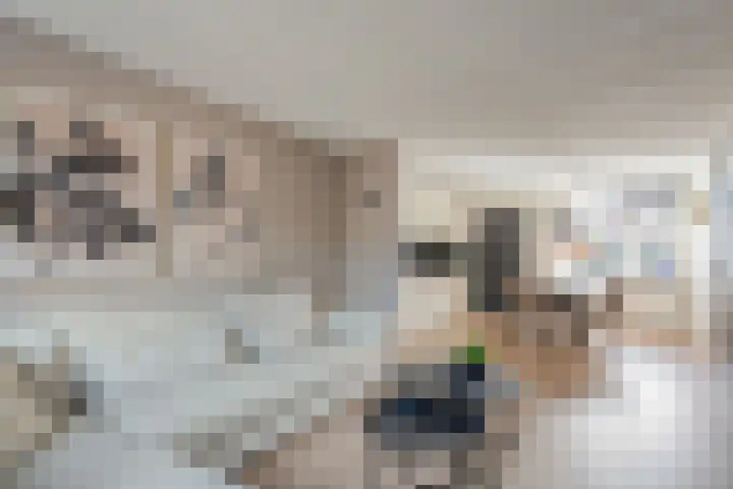 Ribesstraat 30 Lutten thumbnail 10
