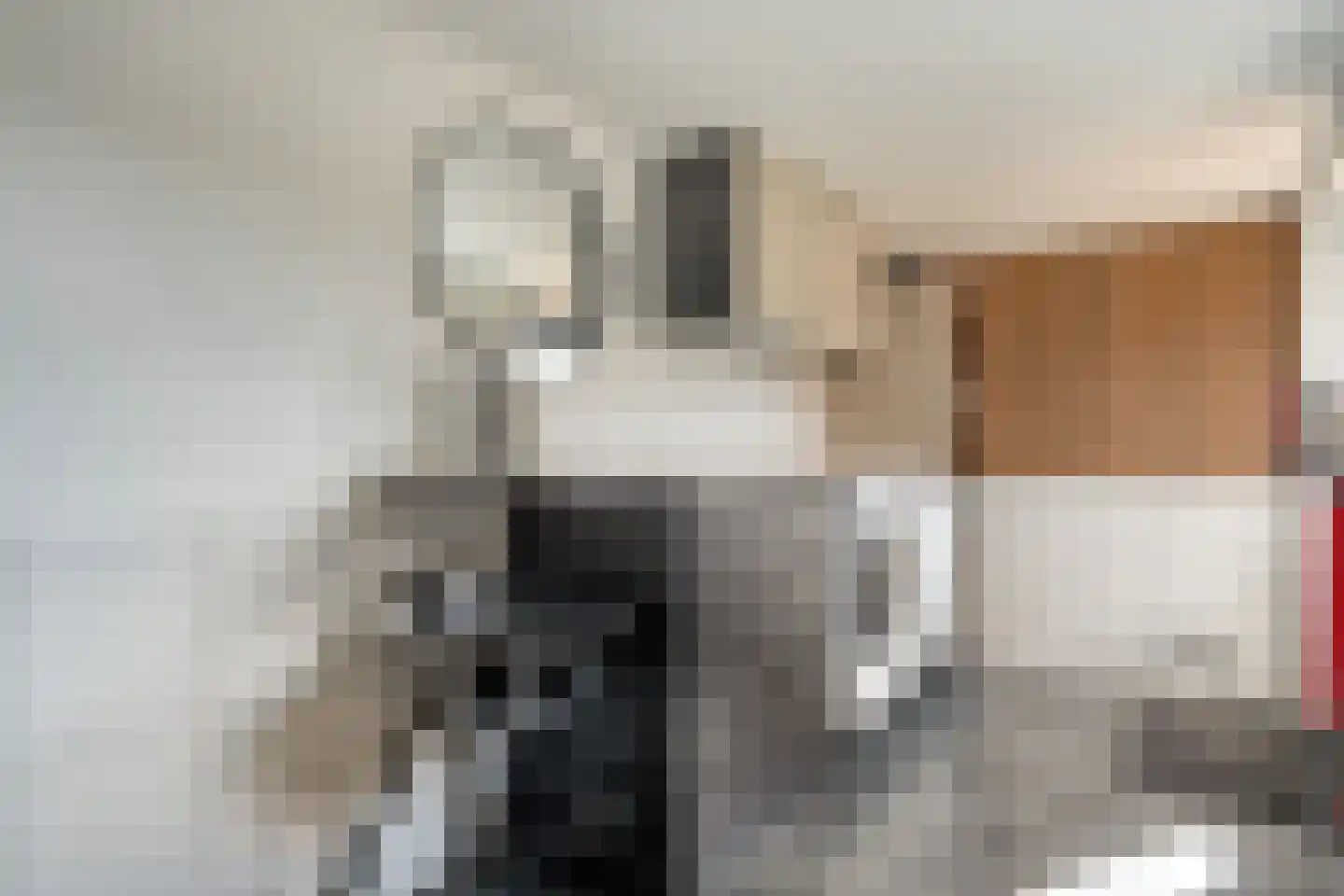 Ribesstraat 30 Lutten thumbnail 15