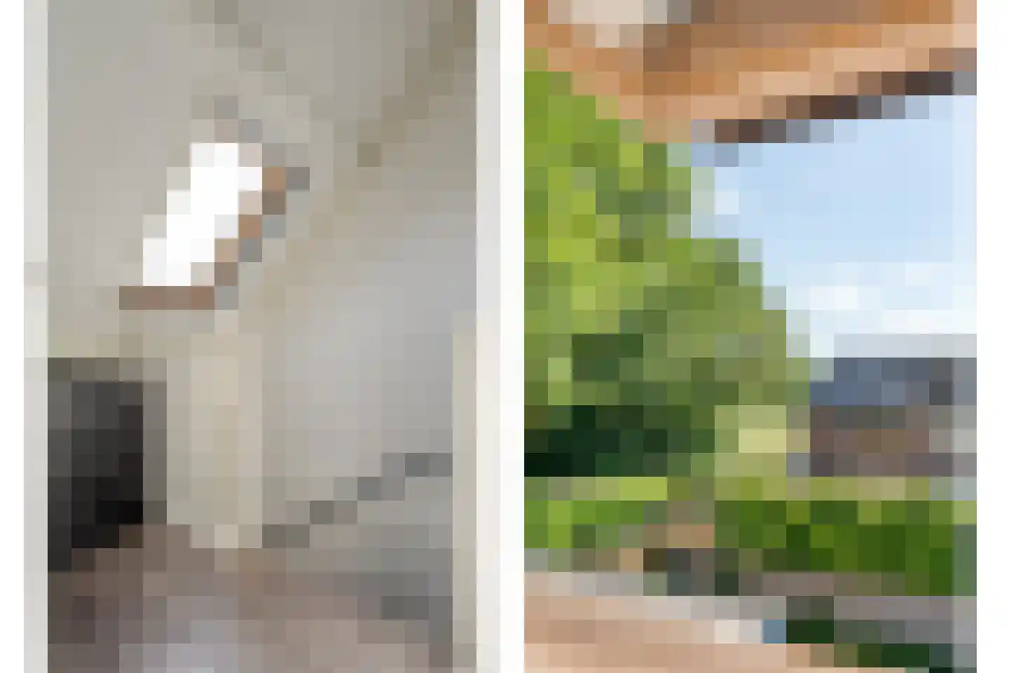 Ribesstraat 30 Lutten thumbnail 28