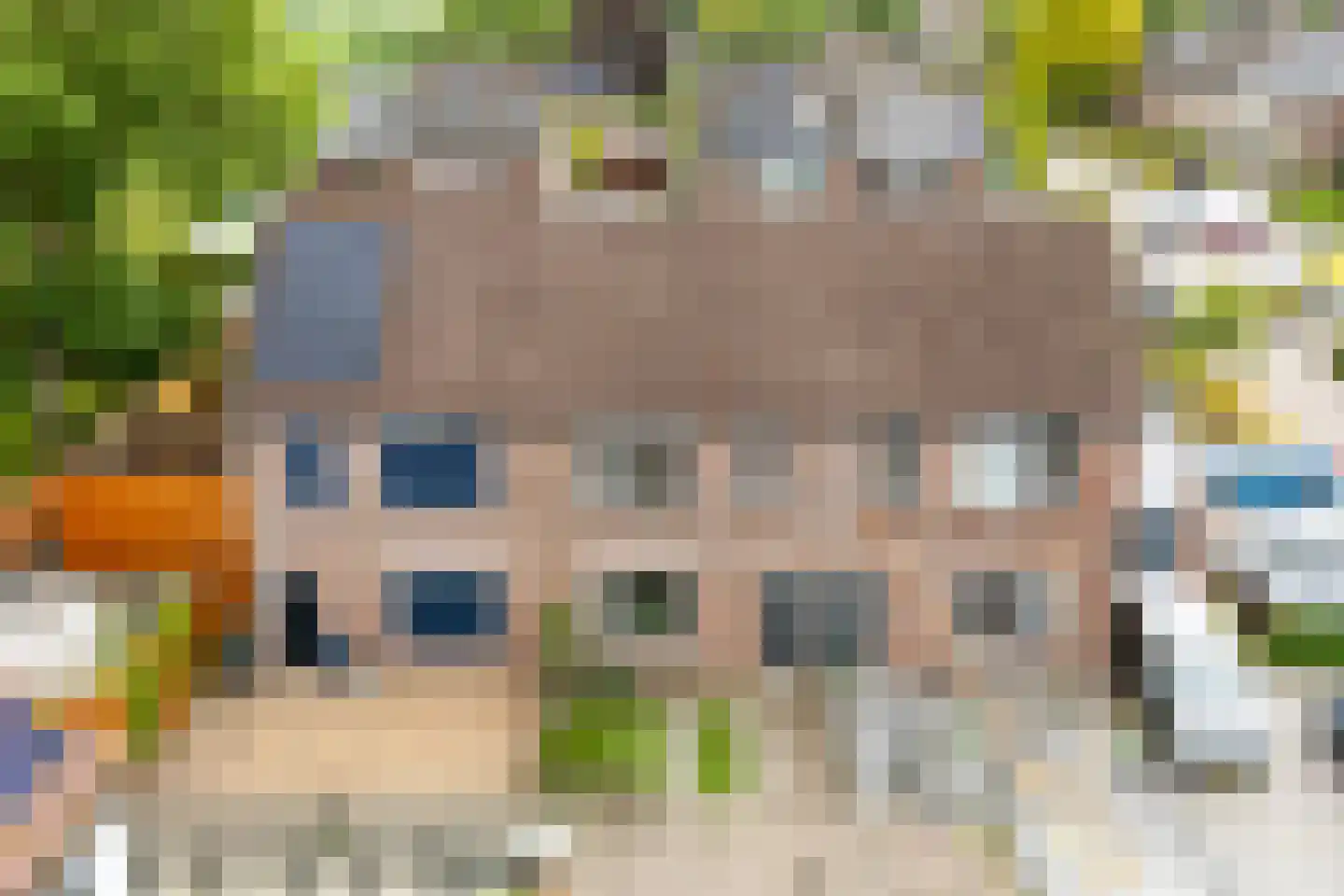 Ribesstraat 30 Lutten thumbnail 35