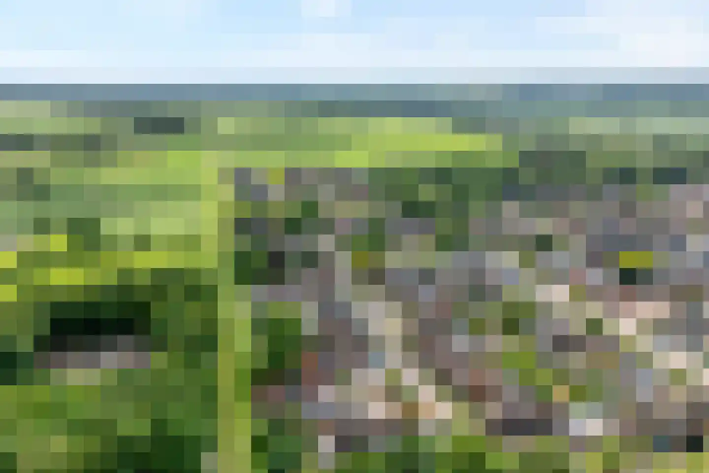 Ribesstraat 30 Lutten thumbnail 36