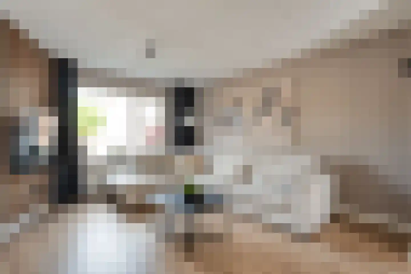 Ribesstraat 30 Lutten thumbnail 7