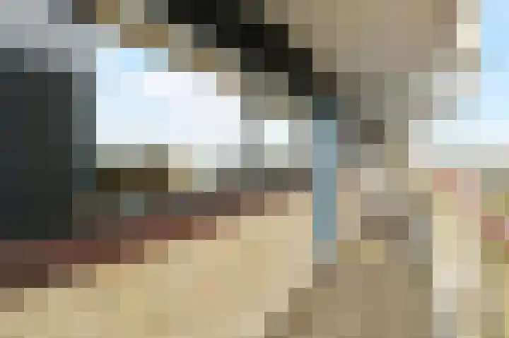 Ribesstraat 32 Doesburg thumbnail 18