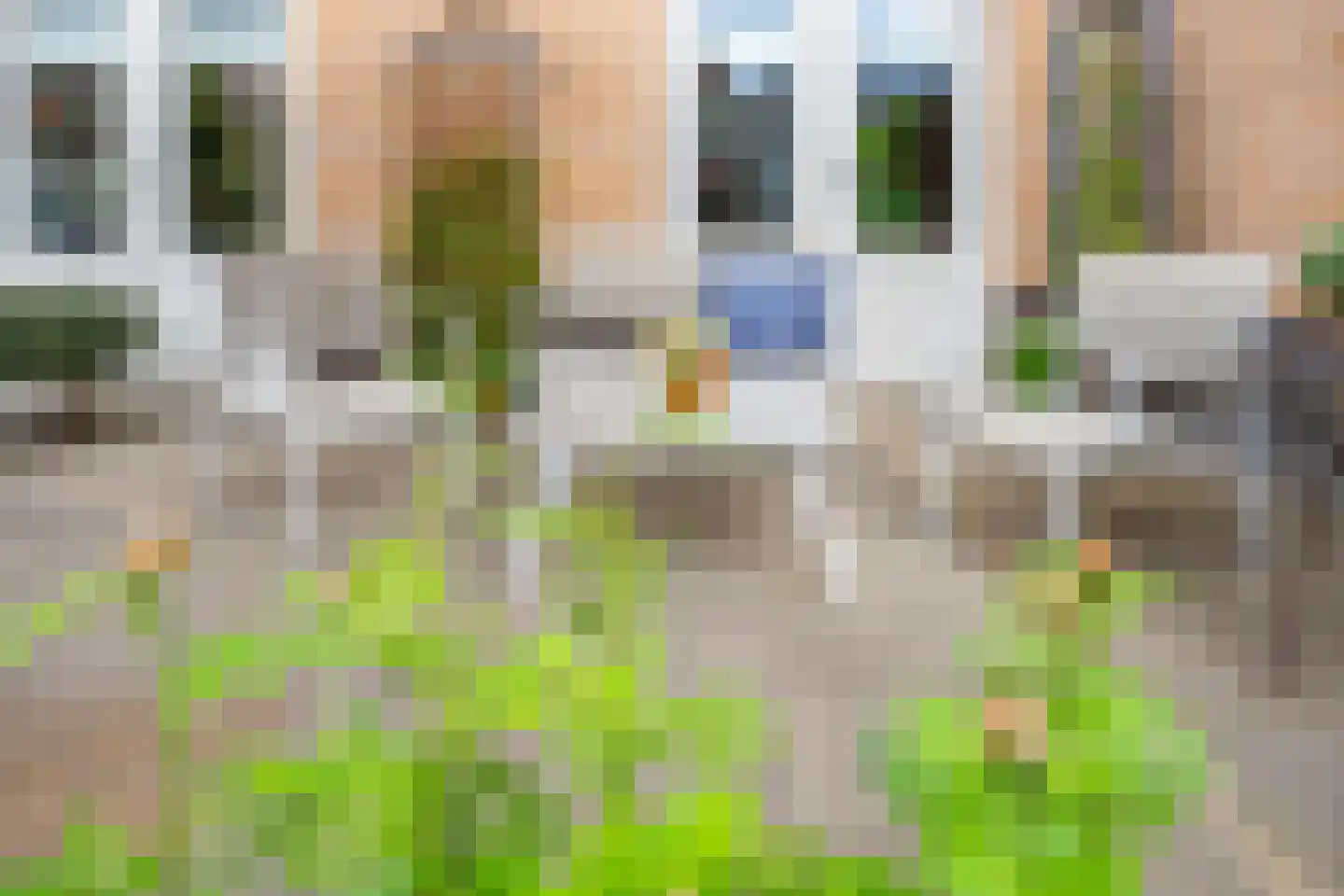 Ribesstraat 48 Lisserbroek thumbnail 18