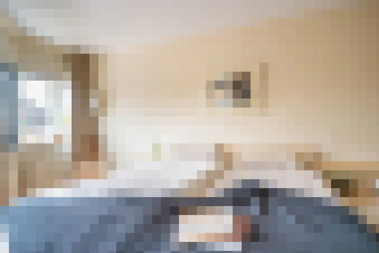 Ribesstraat 48 Lisserbroek thumbnail 22