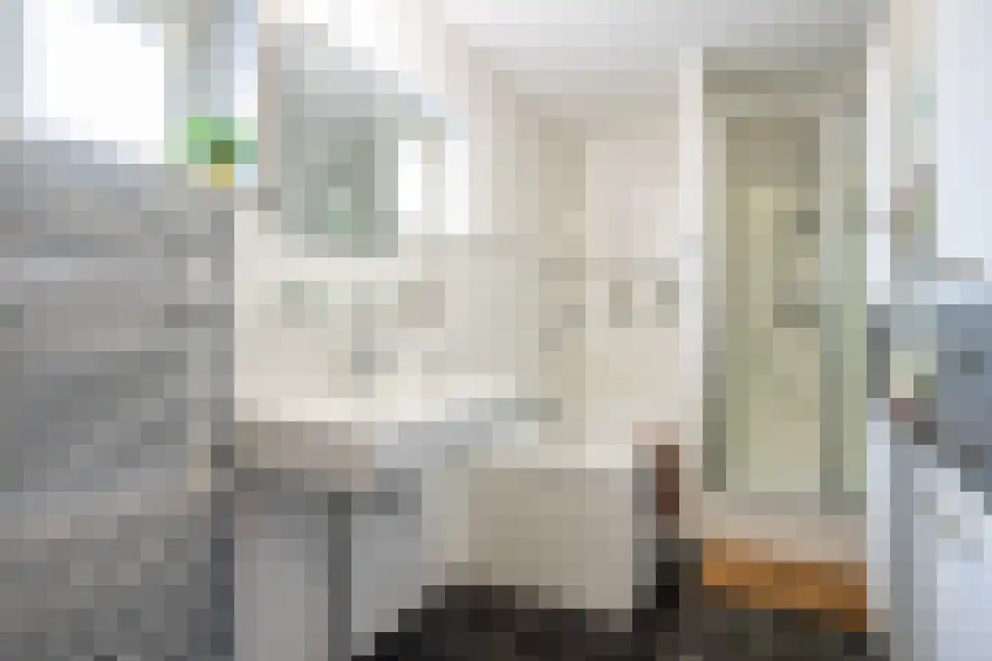 Ribesstraat 48 Lisserbroek thumbnail 27