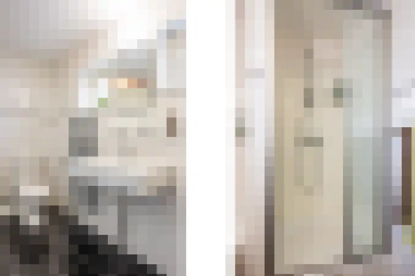 Ribesstraat 48 Lisserbroek thumbnail 28
