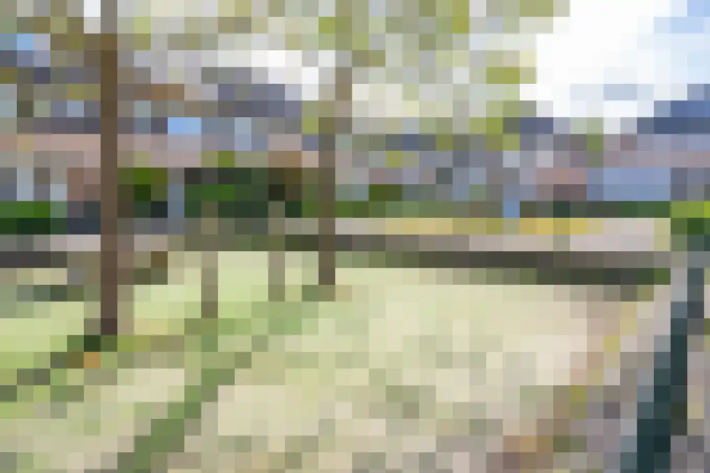Ribesstraat 48 Lisserbroek thumbnail 34