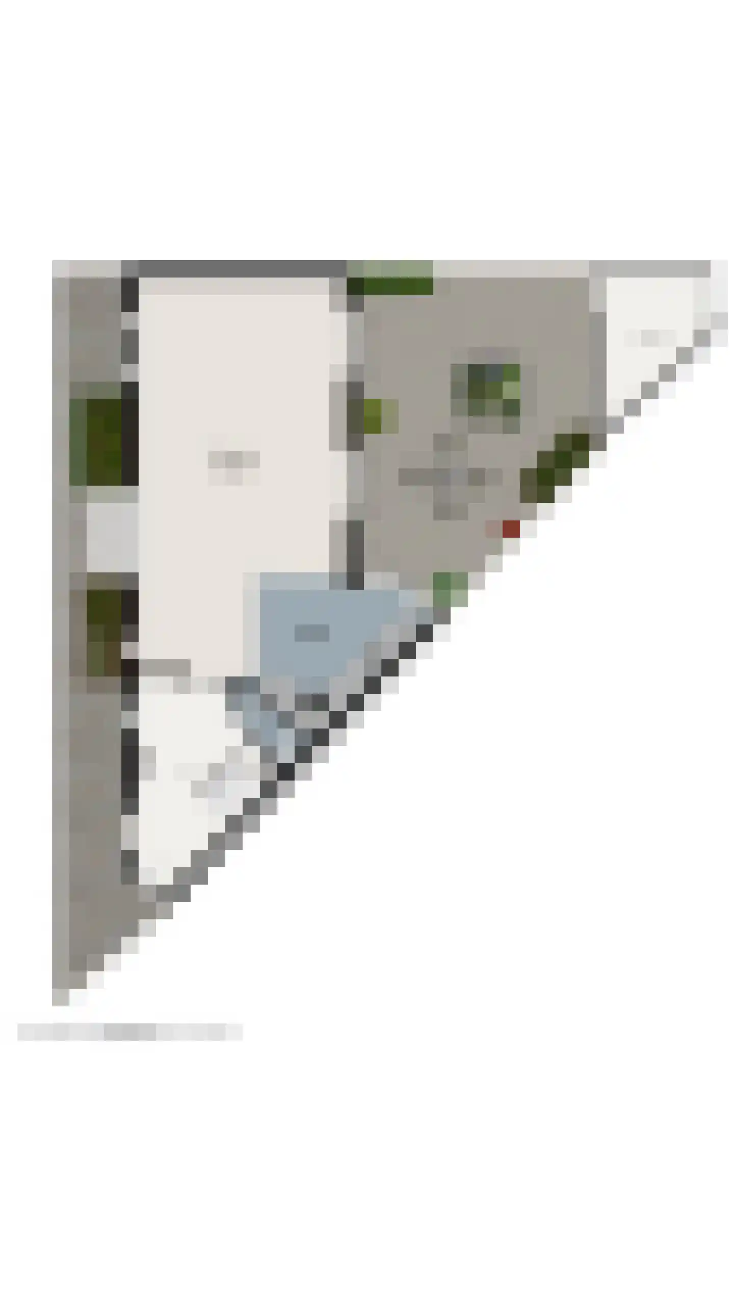 Ribesstraat 48 Lisserbroek thumbnail 45