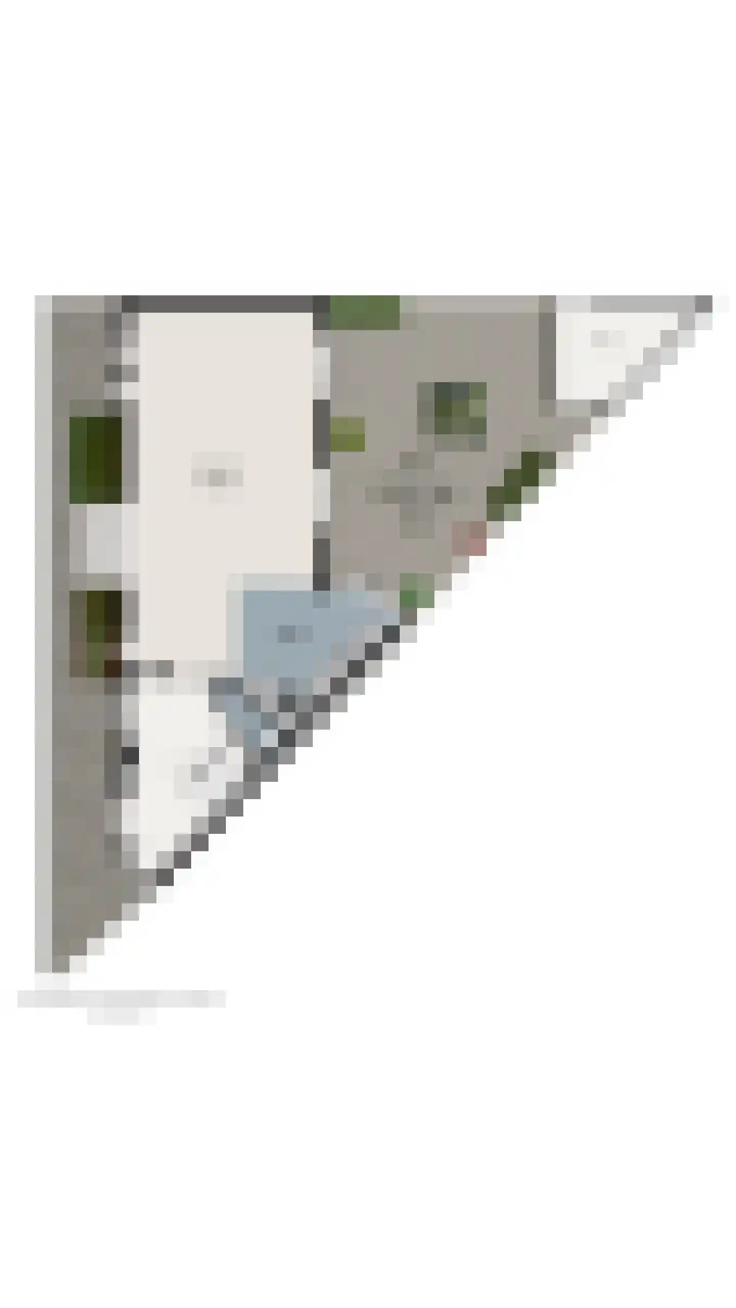 Ribesstraat 48 Lisserbroek thumbnail 45
