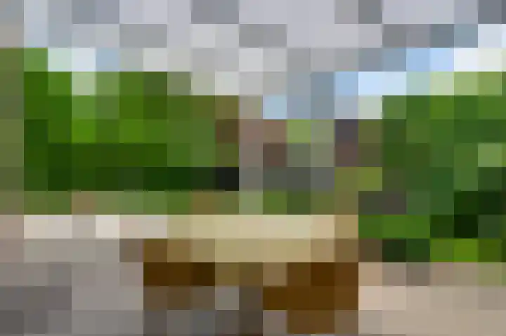 Ribesstraat 48 Nederweert thumbnail 37