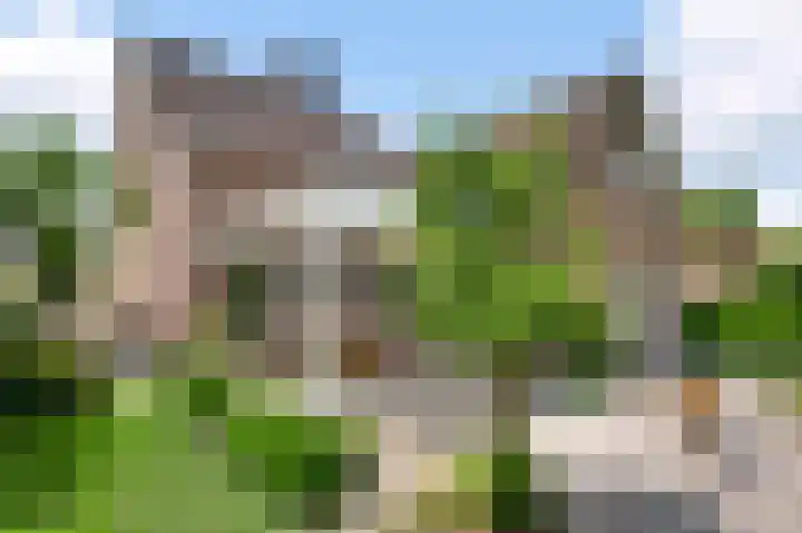 Ribesstraat 48 Nederweert thumbnail 5