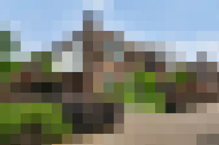 Ribesstraat 48 Nederweert thumbnail 6