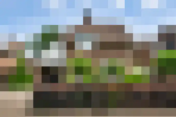 Ribesstraat 48 Nederweert thumbnail 7