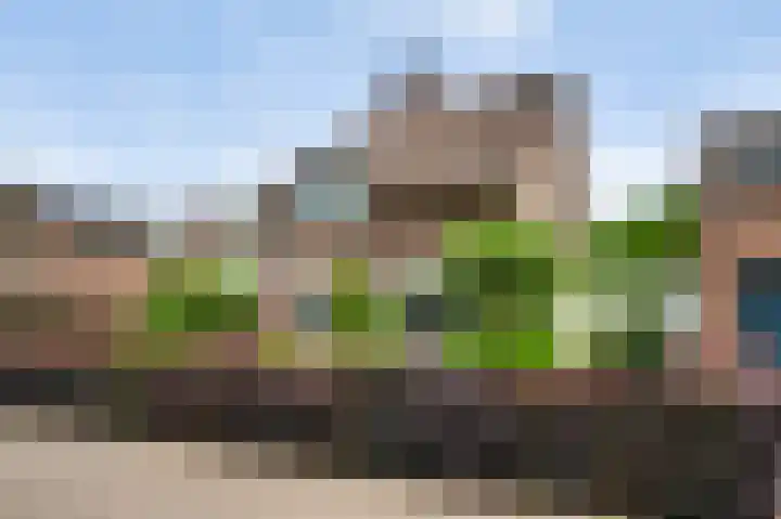 Ribesstraat 48 Nederweert thumbnail 8