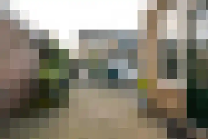 Ribesstraat 6 Puttershoek thumbnail 22