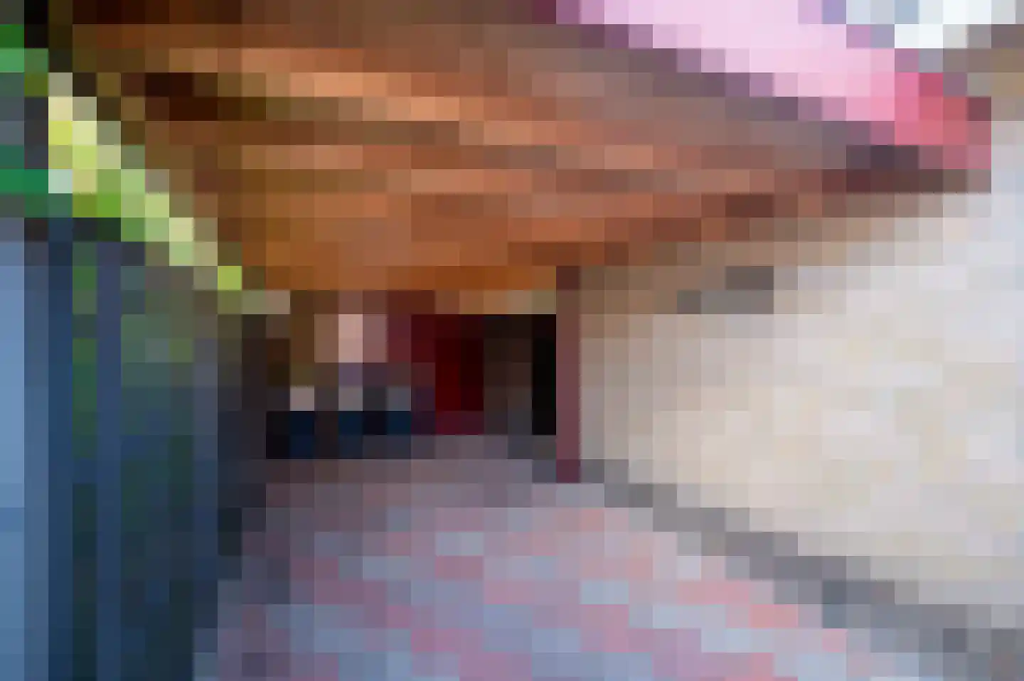 Ribesweg 24 Nunspeet thumbnail 10