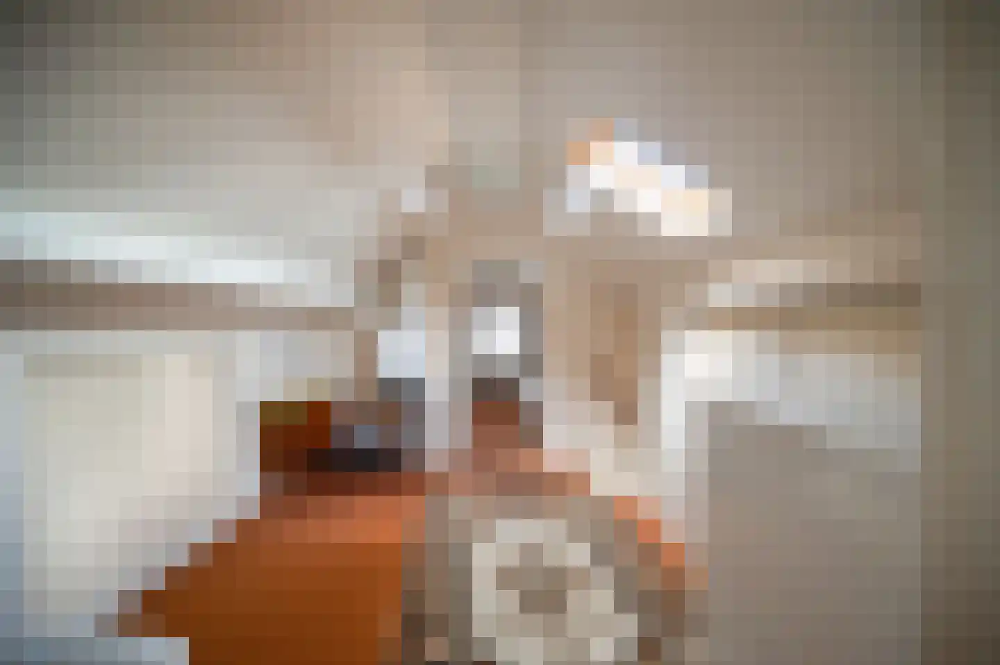 Ribesweg 24 Nunspeet thumbnail 21