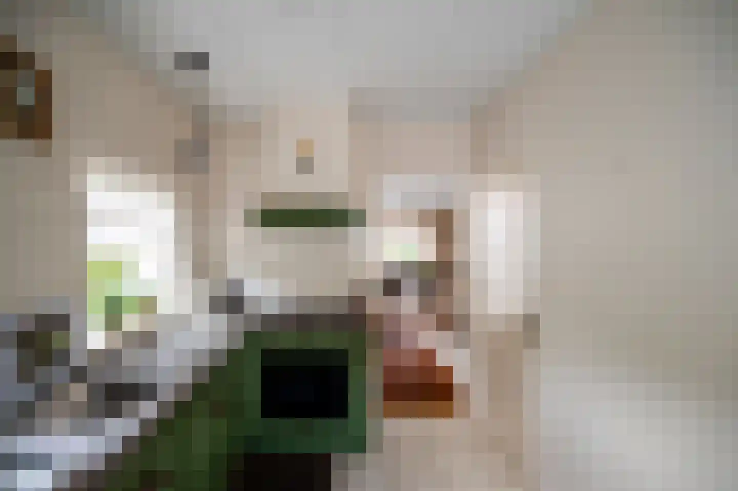 Ribesweg 24 Nunspeet thumbnail 22