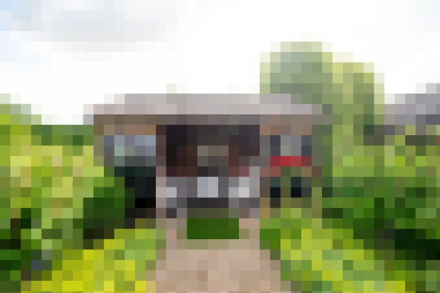 Ribesweg 24 Nunspeet thumbnail 35