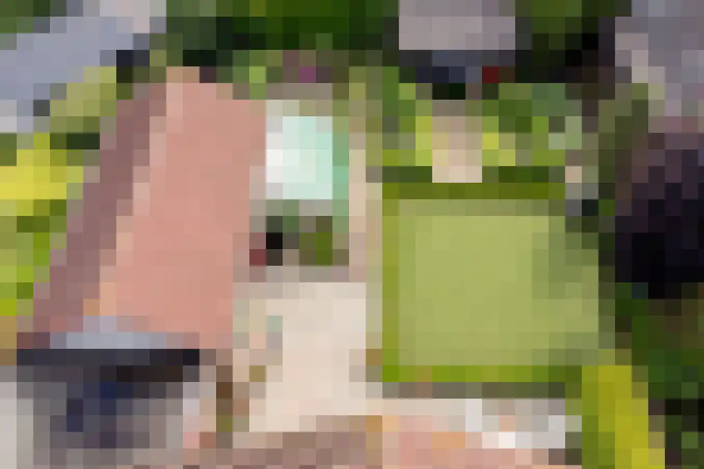 Ribesweg 24 Nunspeet thumbnail 36