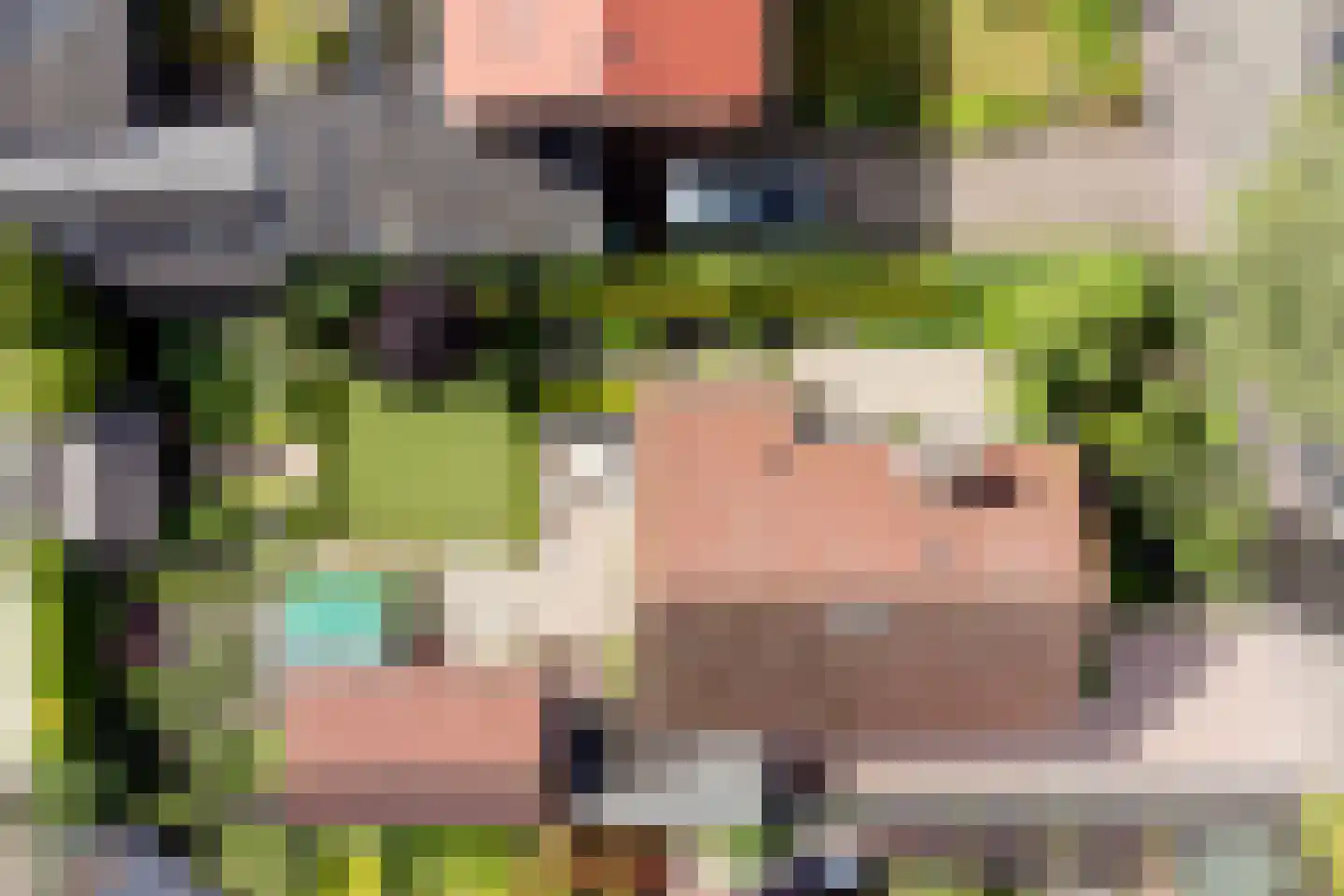 Ribesweg 24 Nunspeet thumbnail 37