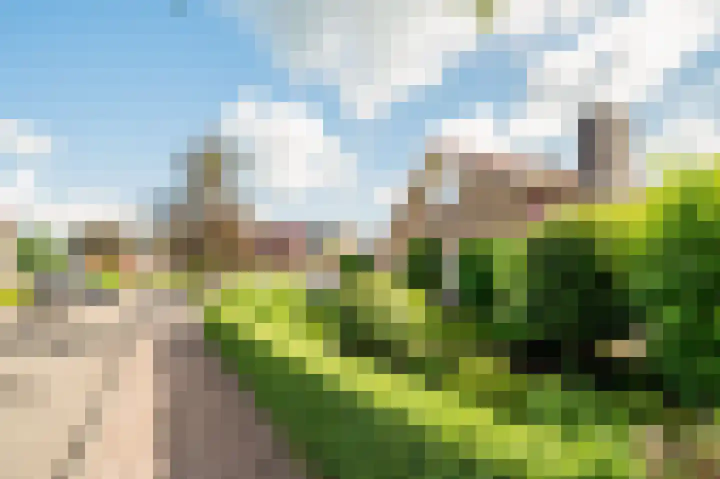 Ribesweg 24 Nunspeet thumbnail 4