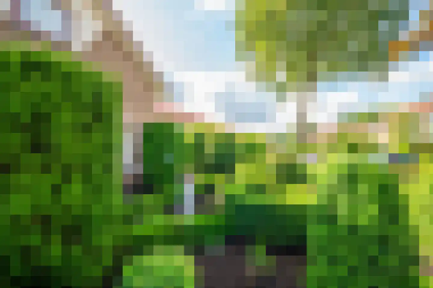 Ribesweg 24 Nunspeet thumbnail 7