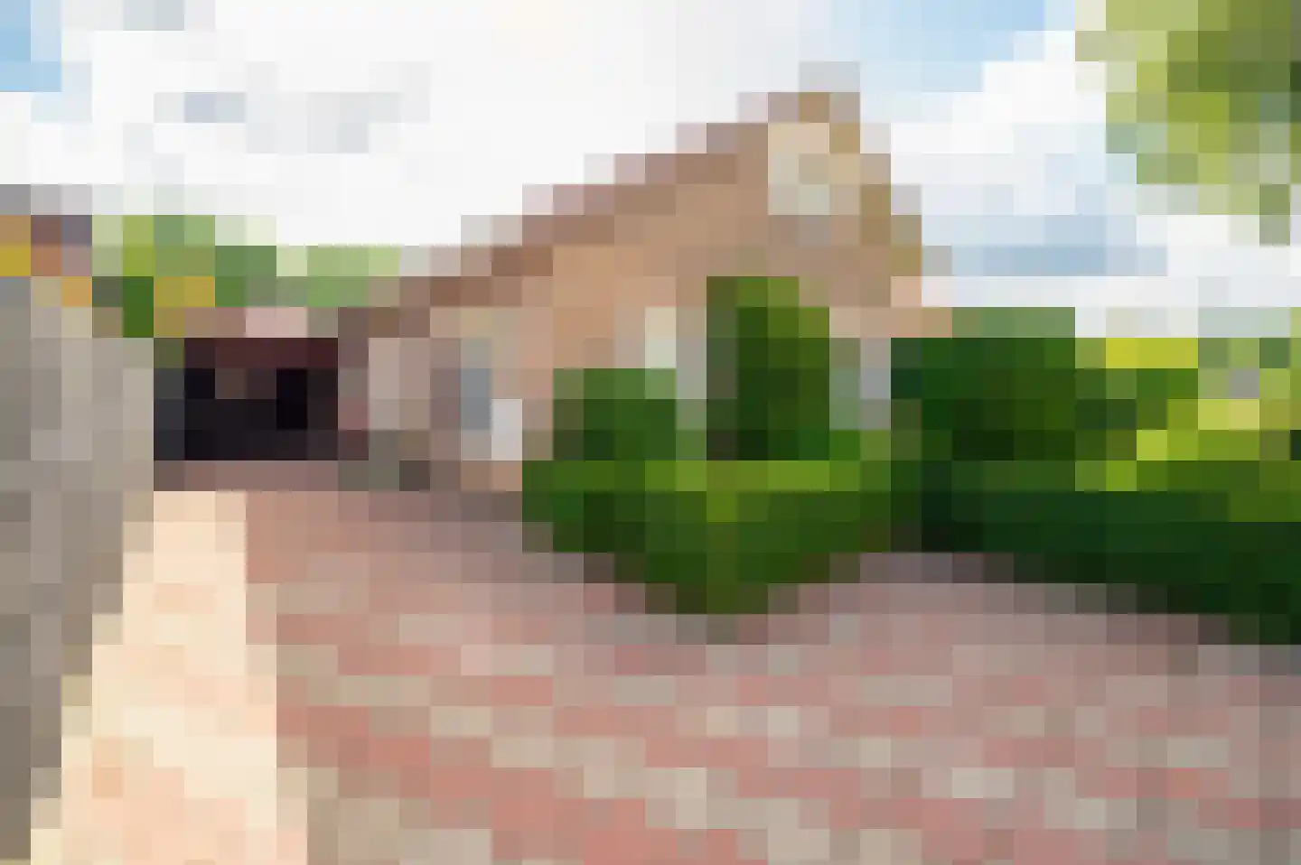 Ribesweg 24 Nunspeet thumbnail 8