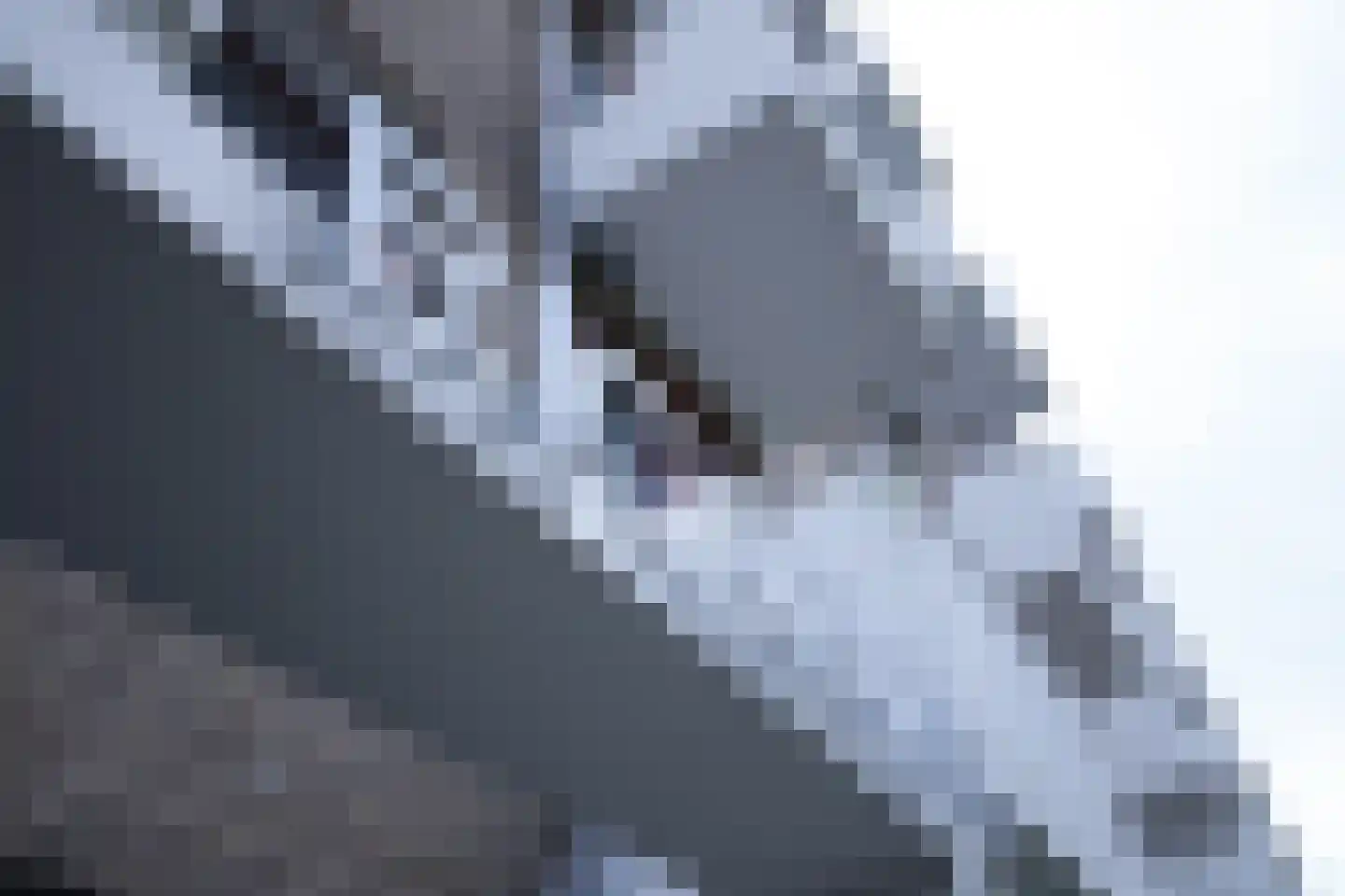 Ricardishof 28 Delft thumbnail 16