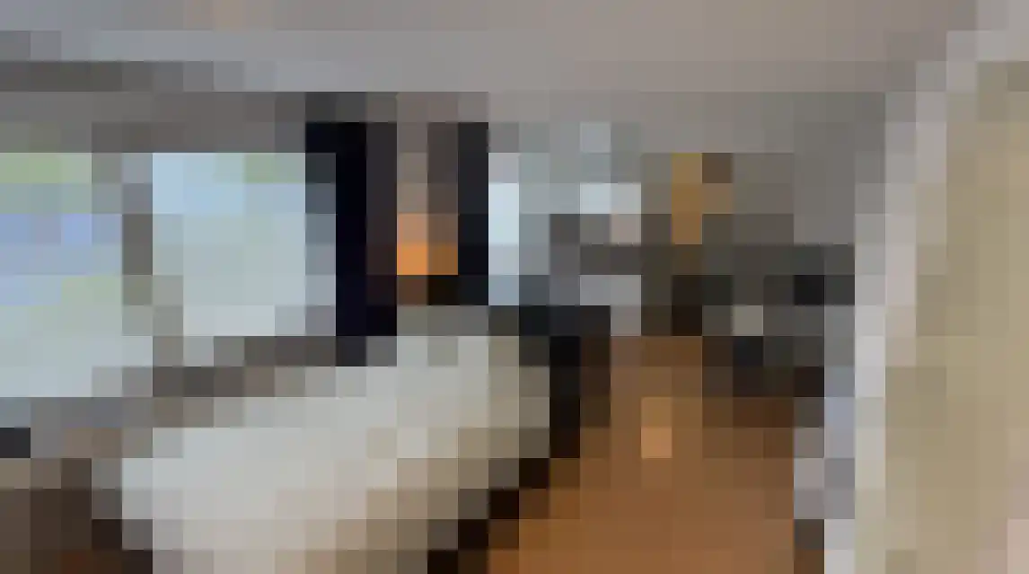 Ricardishof 47 A Delft thumbnail 5