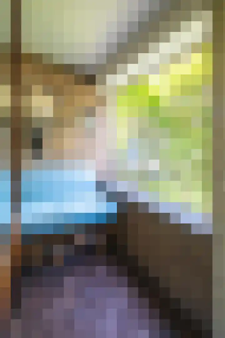 Ricardishof 55 Delft thumbnail 7