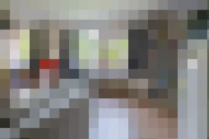 Ricardishof 55 Delft thumbnail 9