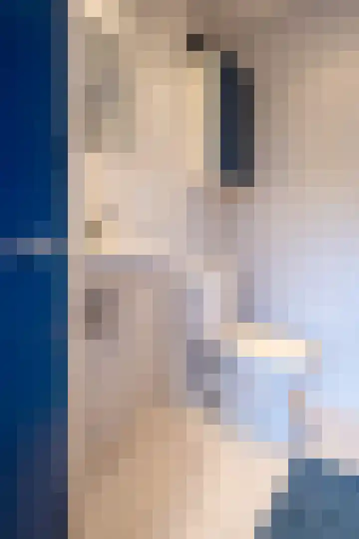 Ricardishof 58 Delft thumbnail 5