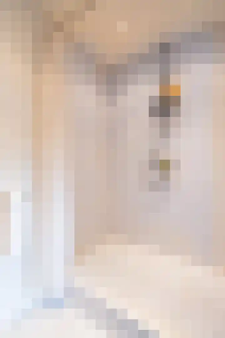 Ricardishof 58 Delft thumbnail 6