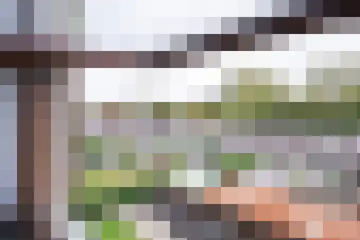 Ricardishof 58 Delft thumbnail 9