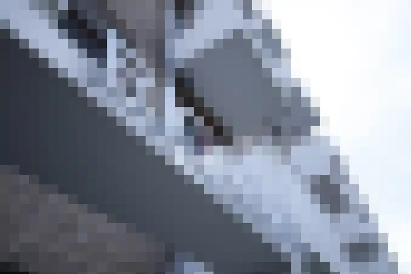 Ricardishof 80 Delft thumbnail 15