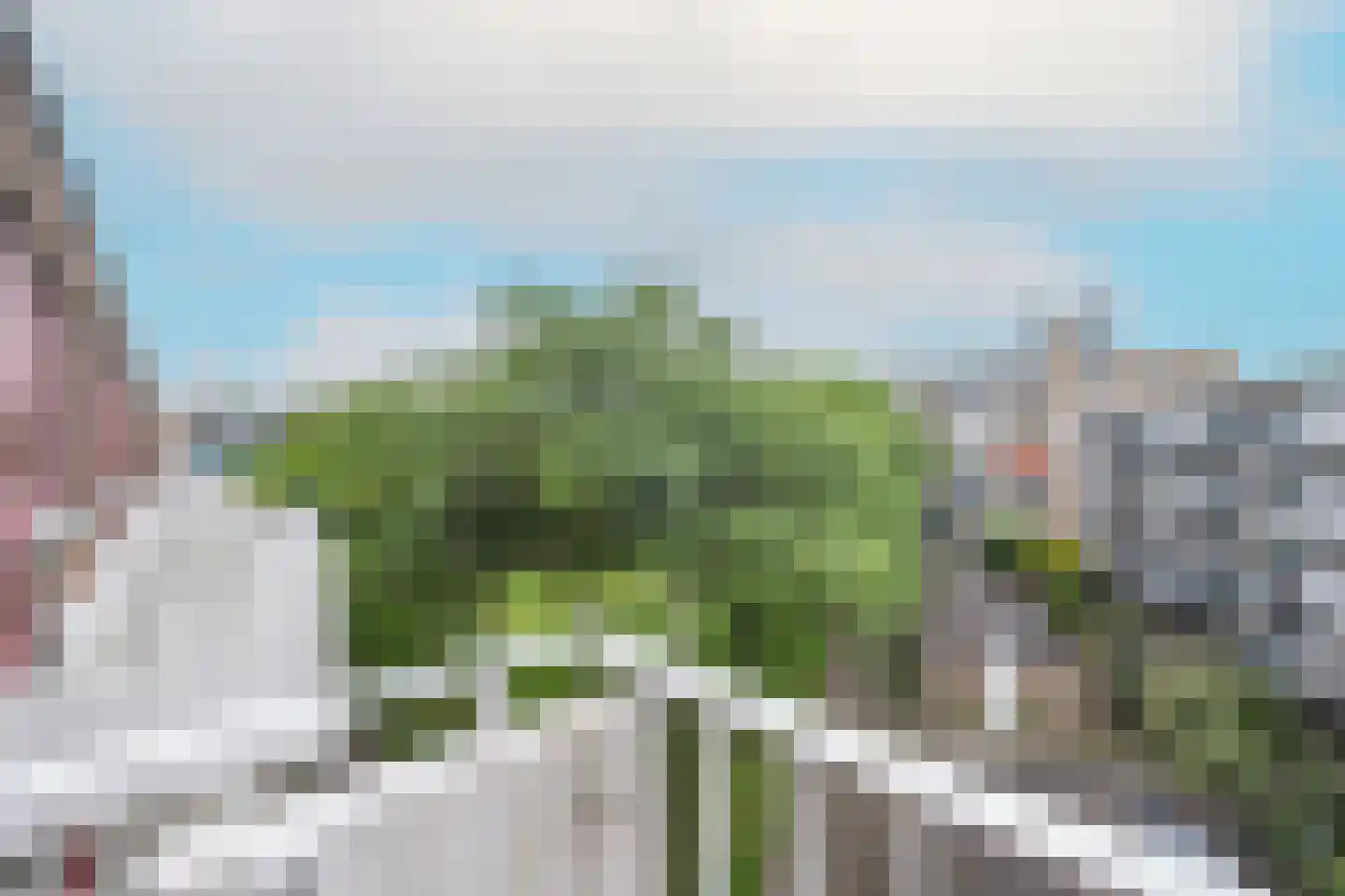Ricardishof 80 Delft thumbnail 9