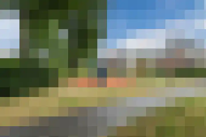 Richard Burtonstraat 18 Almere thumbnail 38
