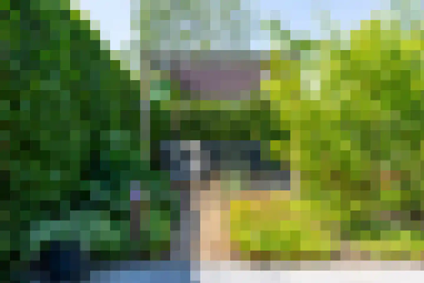 Richard Heubergerhof 13 Utrecht thumbnail 22