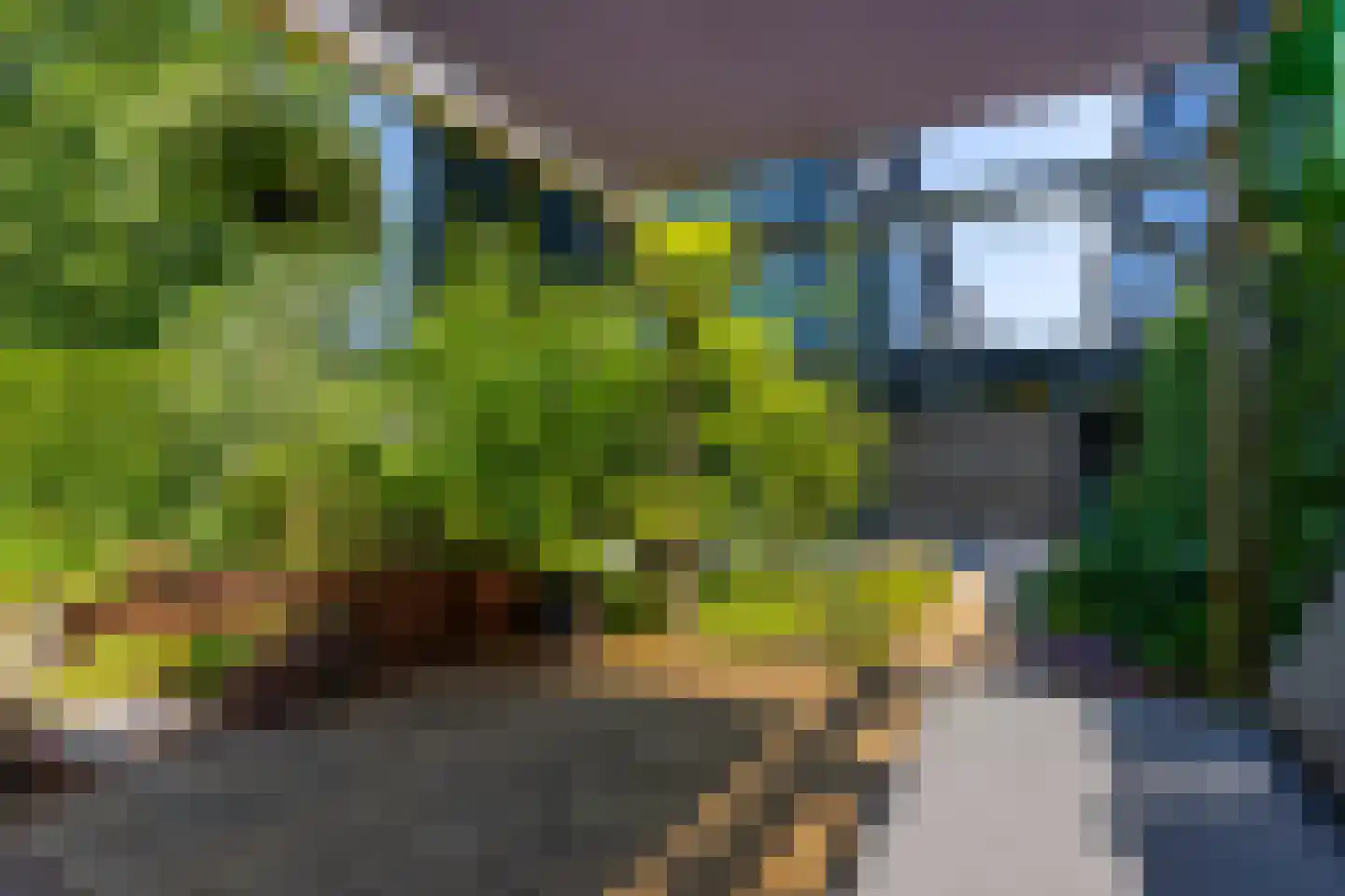 Richard Heubergerhof 13 Utrecht thumbnail 27