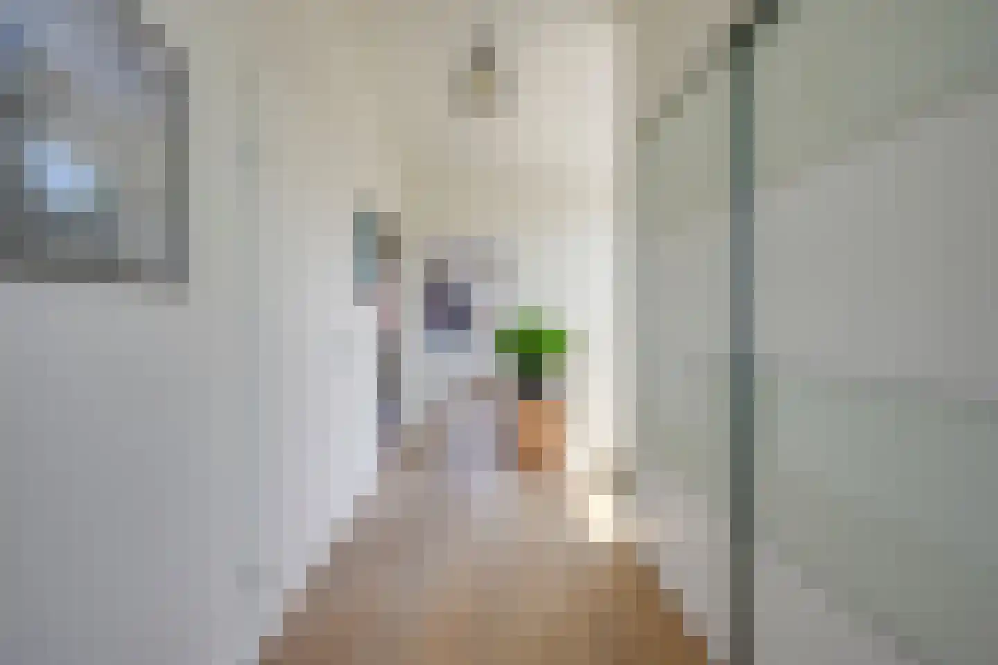 Richard Heubergerhof 13 Utrecht thumbnail 34