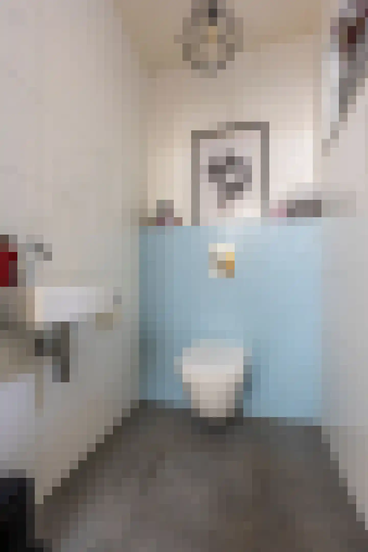 Richard Heubergerhof 13 Utrecht thumbnail 9