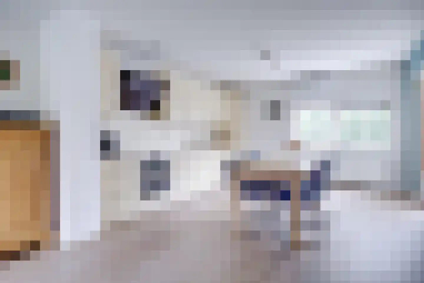 Richard Heubergerhof 14 Utrecht thumbnail 15