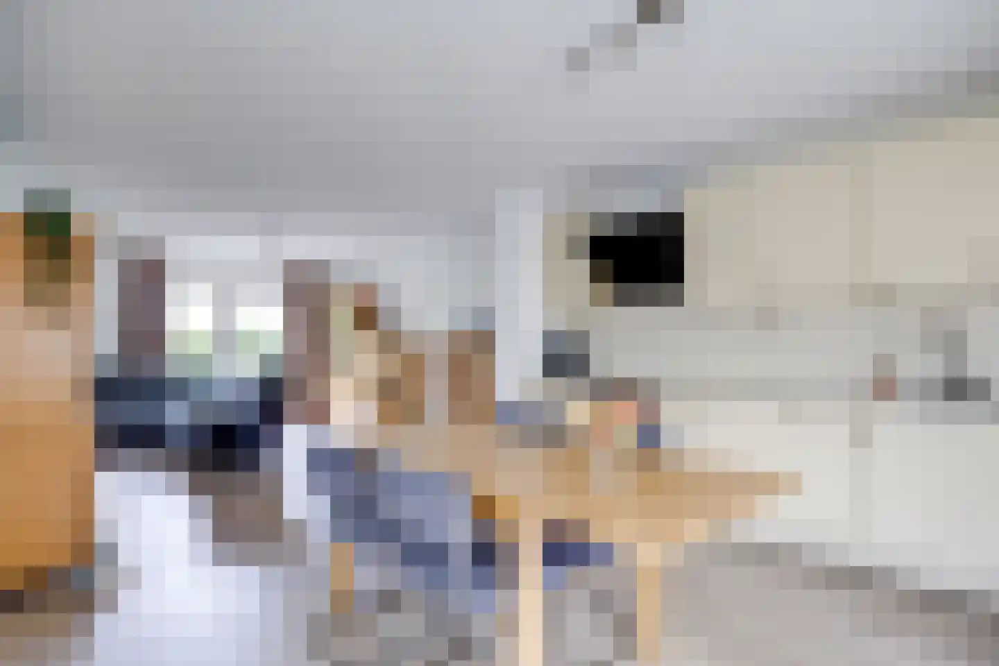 Richard Heubergerhof 14 Utrecht thumbnail 18