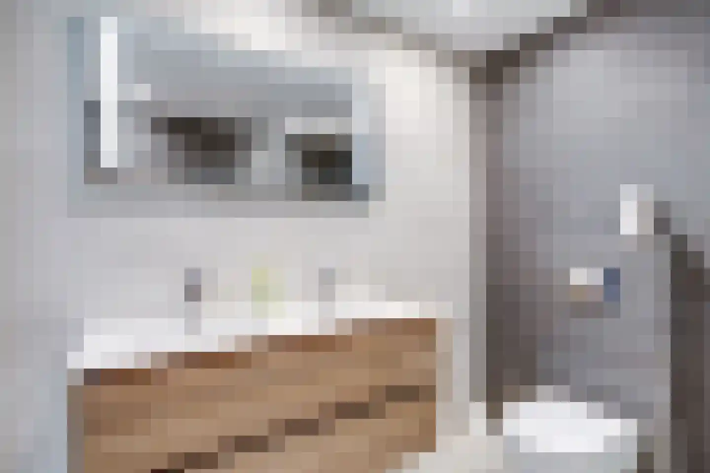 Richard Heubergerhof 14 Utrecht thumbnail 39