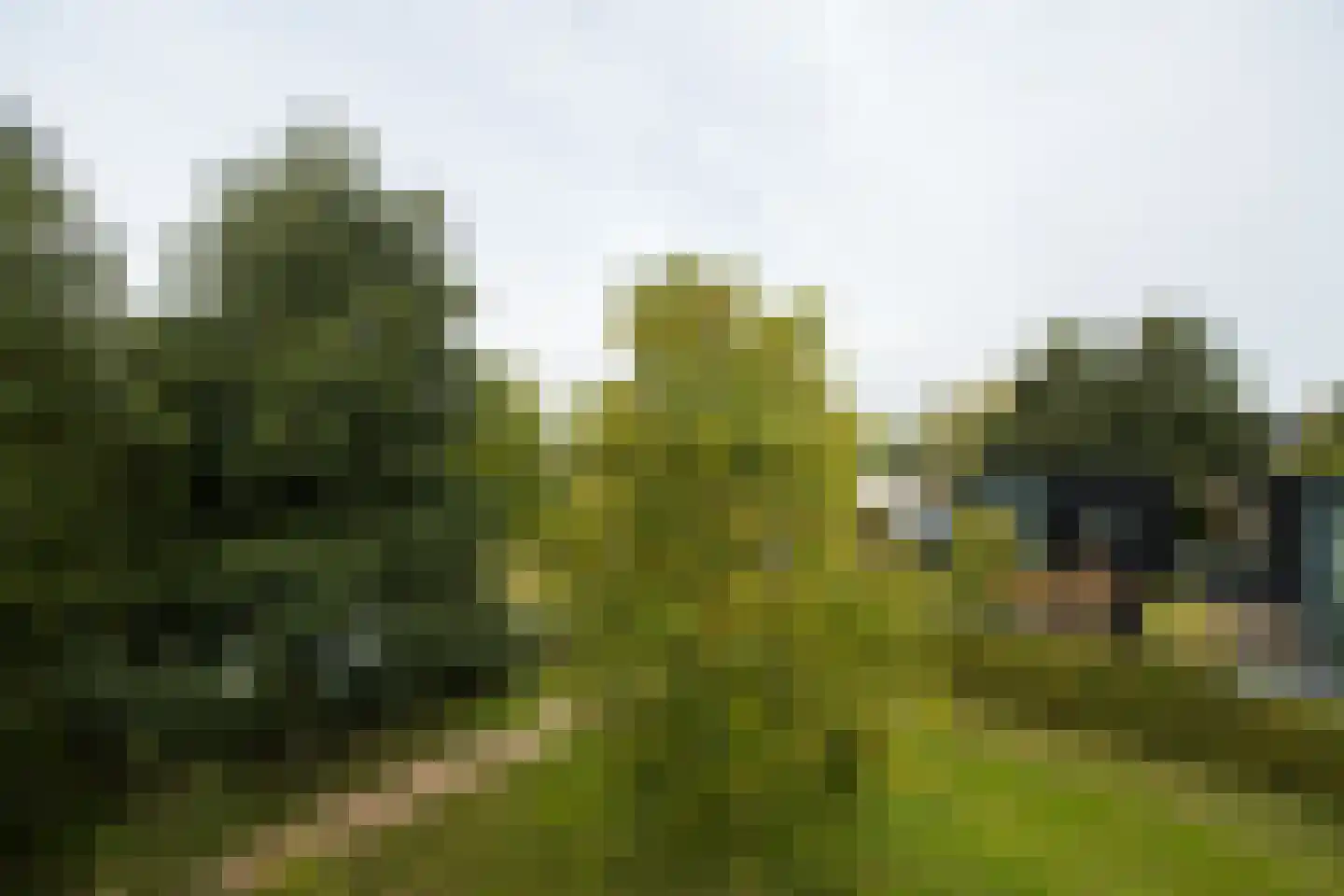 Richard Heubergerhof 14 Utrecht thumbnail 49