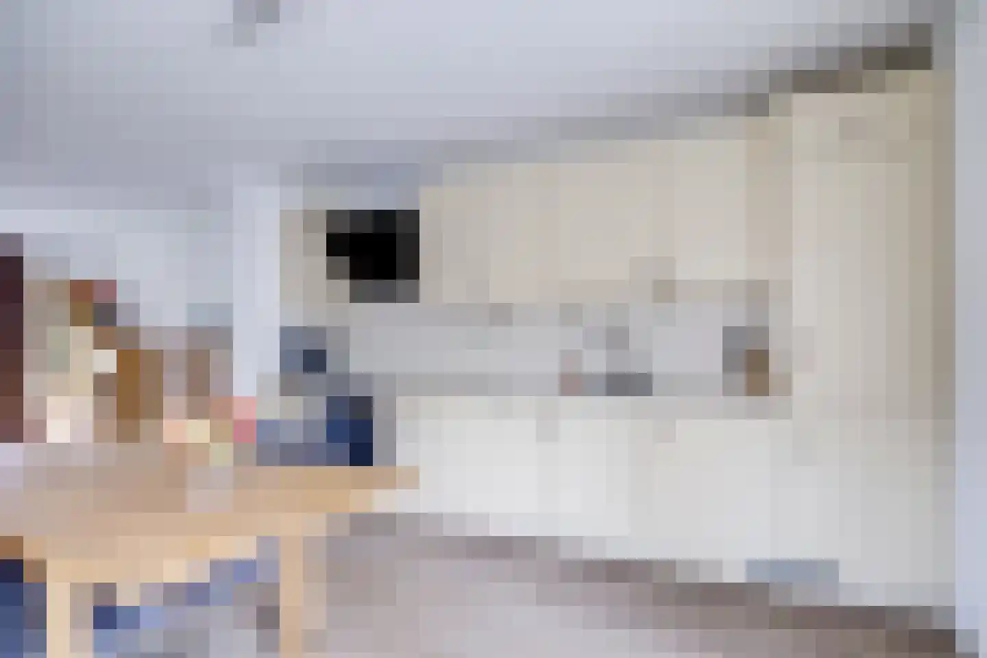 Richard Heubergerhof 14 Utrecht thumbnail 8