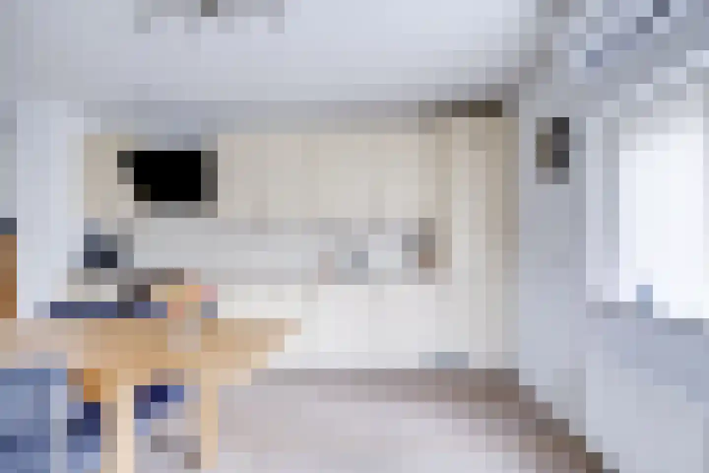 Richard Heubergerhof 14 Utrecht thumbnail 9