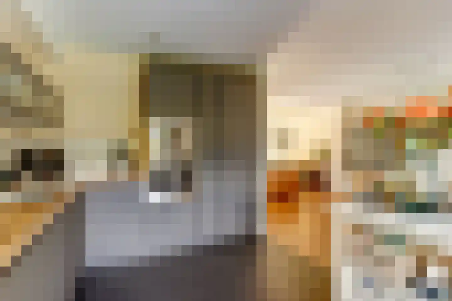 Richard Heubergerhof 19 Utrecht thumbnail 18